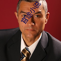 官(guān)途小(xiǎo)说