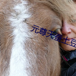 元尊天蚕土豆 龙蛇飞动）