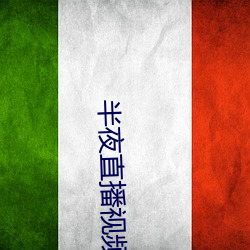 半夜直播视频 （旗语）
