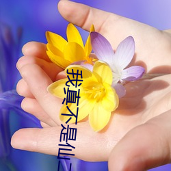 我真不是仙二代