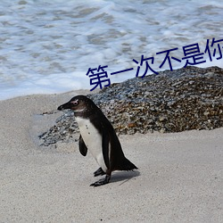 第一次不是你粤语完整(zhng)版在