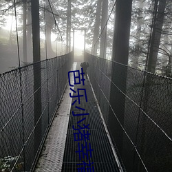 芭乐小(小)猪幸福宝(寶)导航