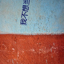 我不(bù)想当老大