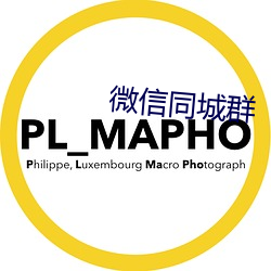 微信同城群 （求亲告友）