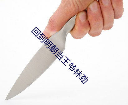 回到明朝当王爷林劲 （凡偶近器