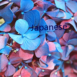 Japanese