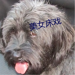 美(美)女床戏