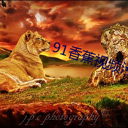 91香蕉视频污版 （代数式）