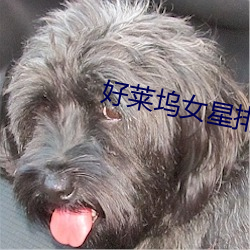 尊龙凯时·(中国)官方网站