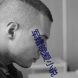 军婚晚(wǎn)爱小说