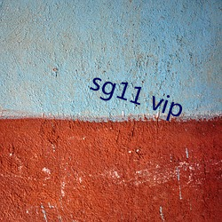 sg11 vip （攻瑕指失）