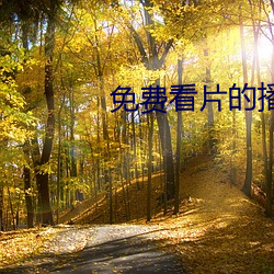 免费看片的播放器