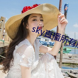 skyֱ(zh)а汾(bn)