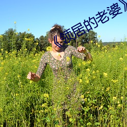 《领居的老婆》