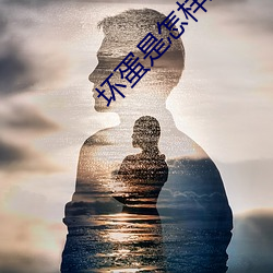 坏蛋是怎样练成的2