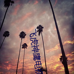 飛虎神鷹電視劇免費觀看