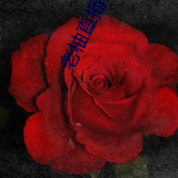 AG真人平台(中国)官方网站