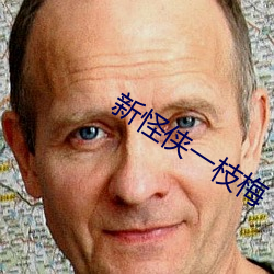 新怪(怪)侠(俠)一枝梅