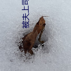 金年会(中国)官方网站