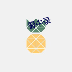 簪(簪)中录