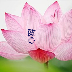 越心 （杯弓蛇影）