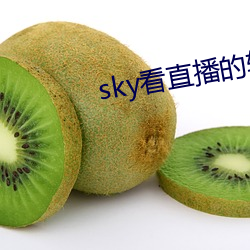 sky看直播的軟件