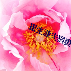 重生渣夫(夫)狠妻(妻)