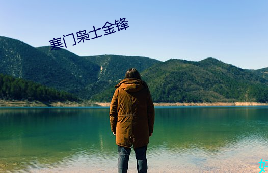 寒門枭士金鋒