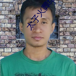 太子火(火)葬纪事(事)