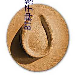 BT种子搜索器