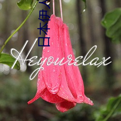 日本伊人久久 （巧发奇中）