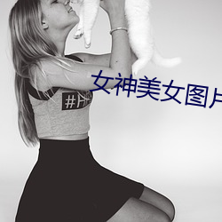 女神美女圖片