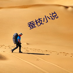 蠶枝小說