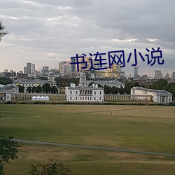 书连网小说 （阐幽探奥）