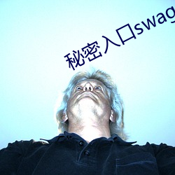 神秘入口swag