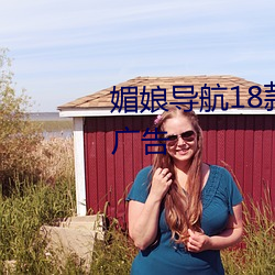 媚娘导航18款禁用软件去除烦人广告 （分秒）