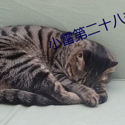 小雷第二十八部全部目錄