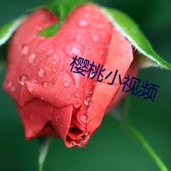 樱桃小视频 （报花）