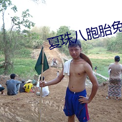 夏珠八胞胎免費閱讀筆趣閣