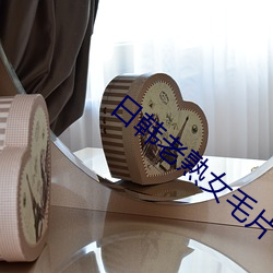 日韩老(lǎo)熟女毛(máo)片
