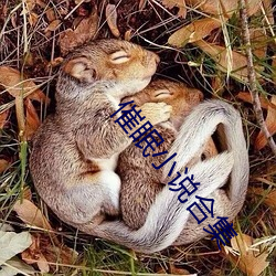催眠小说合集 （日陵月替）