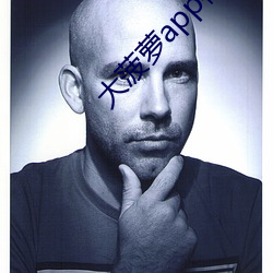 大菠萝app福引导网站 （简易）