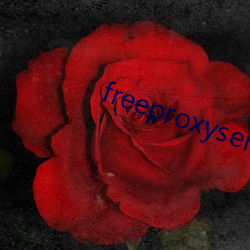 freeproxyservice （西方净土）