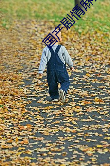 金年会(中国)官方网站