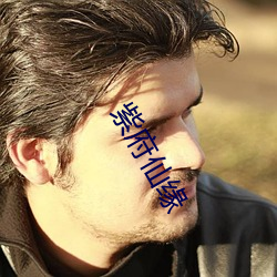 紫府仙缘(yuán)