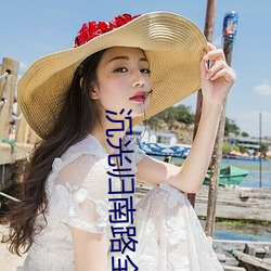 沉光(guāng)归南路全(quán)文(wén)免费阅读