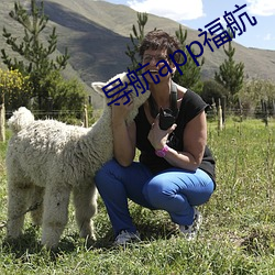 导航(航)app福航(航)