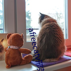 afreecatv邢英id