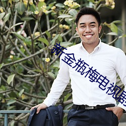 新(新)金瓶梅(梅)电(電)视剧(劇)