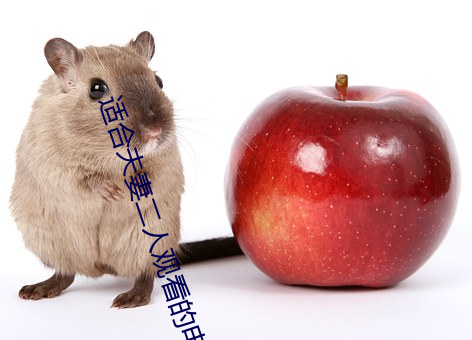 适合夫妻二人观看的电影